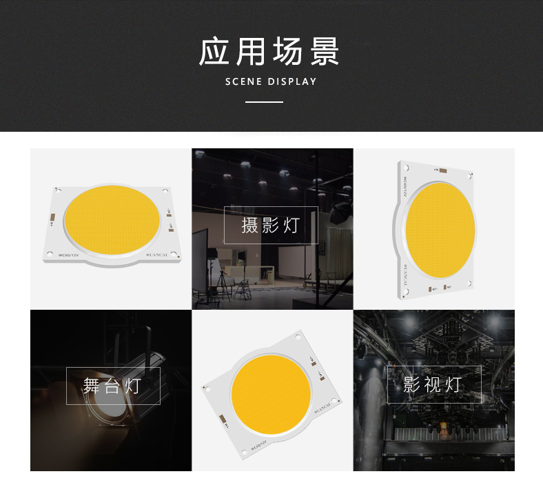 5540/39 單色攝影燈光源(圖2)