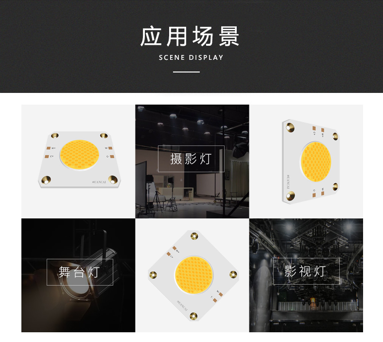 雙色溫60W 12V攝影燈光源 3535/19(圖2)